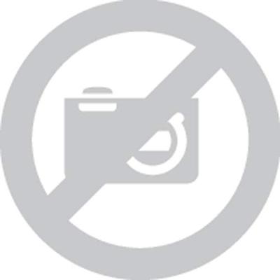 CWS Hygiene 903102600 HD31026 Papierbak 20 l (b x h x d) 300 x 360 x 180 mm Wit 1 stuk(s)