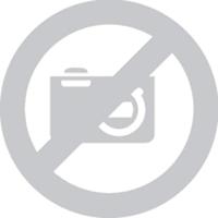 CWS Hygiene 903102600 HD31026 Papierbak 20 l (b x h x d) 300 x 360 x 180 mm Wit 1 stuk(s) - thumbnail