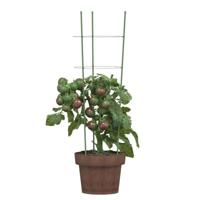 Plantensteunen 5 st met 3 ringen 60 cm staal groen - thumbnail