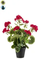 Kunstplant Geranium in pot UV bestendig Beauty - 38cm - thumbnail