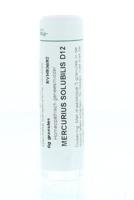 Mercurius solubilis D12 6 Gram - thumbnail
