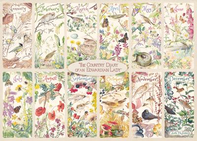 Falcon - Country Diary Summer (1000 Stukjes) - Puzzel;Puzzel (8710126113059) Falcon - Country Diary Summer (1000 Stukjes) - Puzzel;Puzzel (8710126113059)