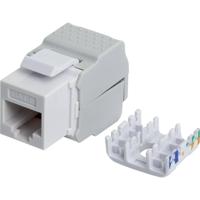 Intellinet 167062 RJ45-inbouwmodule Keystone CAT 5e, CAT 6 1 stuk(s) - thumbnail