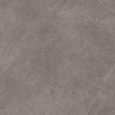 Exigo Jolie Grey gepolijst 60x60 rett