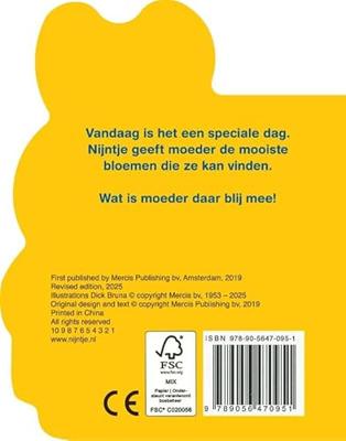 Kartonboek Nijntje En Moeder Kartonboek Nijntje En Moeder