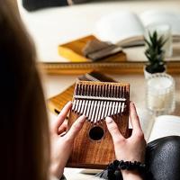 Ortega OKB1 Lizard Series Solid Acacia kalimba - thumbnail