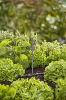 Gardena Micro-drip verlengbuis - thumbnail