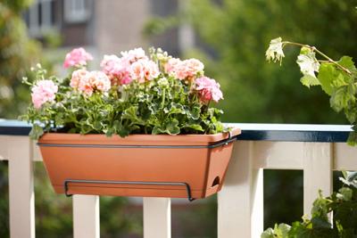 Bloempot Elho 10 L Polypropyleen Plastic Rechthoekig