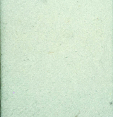 Ubbink Veiligheidsvlies wt verpakt. 5x2m