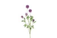 Kunstbloem Combretocarpus paars Countryfield - Countryfield - thumbnail