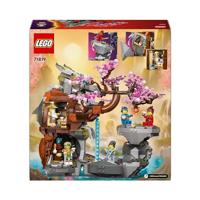 LEGO® NINJAGO 71819 Altaar van de Stenen Draak - thumbnail