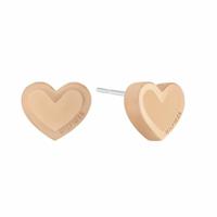 Dames oorbellen Tommy Hilfiger 2780739 Roestvrij staal - thumbnail