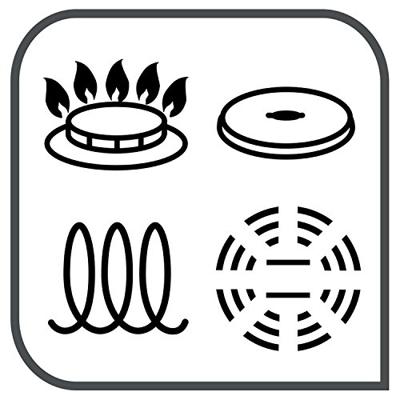 Tefal L65033 Ingenio Expertise Hapjespan 26 cm Zwart Tefal L65033 Ingenio Expertise Hapjespan 26 cm Zwart