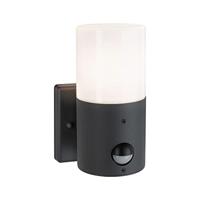 Paulmann Outd 230V Wandl Tubs PIR grau 94648 Buitenlamp met bewegingsmelder (wand) E27 15 W Grijs - thumbnail