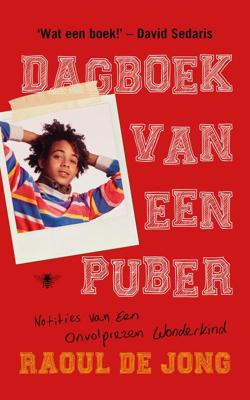 Dagboek van een puber - Raoul de Jong - eBook (9789403111001)