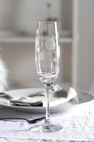 Leonardo Casella Champagne glazen met print, per 6 - thumbnail