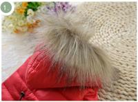 Baza hangtuintje struiktomaat tumb. tom yellow - thumbnail