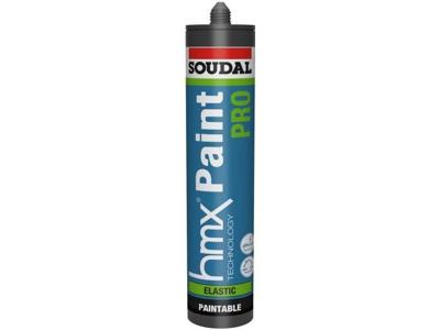 Soudal HMX Paint PRO | Gitzwart | 300 ml | RAL 9005 - 173151