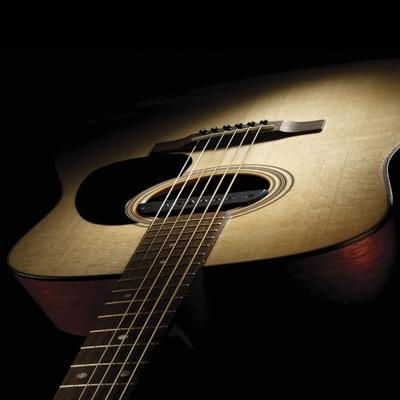 Fishman PRO-BLK-STK Blackstack Passive Soundhole Pickup