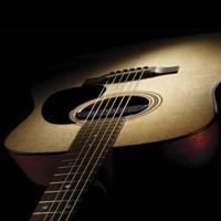 Fishman PRO-BLK-STK Blackstack Passive Soundhole Pickup - thumbnail