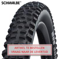 Schwalbe Buitenband 24-2.35 (60-507) hans dampf perfomance zw vw - thumbnail