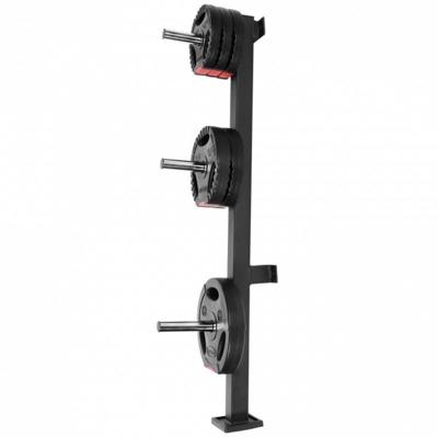 Halterschijven Standaard Wandmontage 30 mm - Zwart