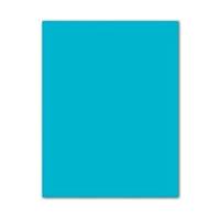 Fiches Iris Turkoois 50 x 65 cm - thumbnail