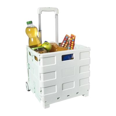 Inklapbare boodschappentrolley - groen - 38x37x33 cm Inklapbare boodschappentrolley - groen - 38x37x33 cm