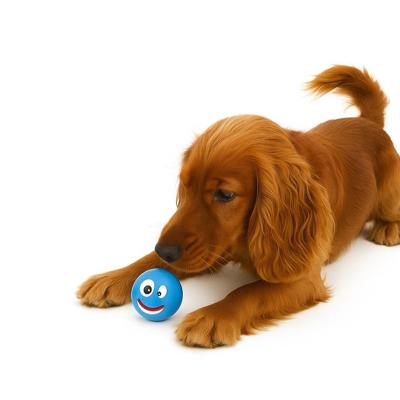 Nobleza Hondenspeelgoed - Bal met piep - Blauw - 7,5 cm