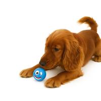 Nobleza Hondenspeelgoed - Bal met piep - Blauw - 7,5 cm - thumbnail