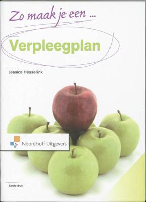 Zo maak je een verpleegplan! (Paperback)