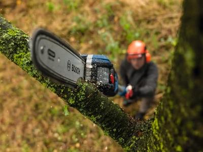 Bosch Accessoires F016800661 Zaagketting | 25 cm | 1,1 mm - F016800661 Bosch Accessoires F016800661 Zaagketting | 25 cm | 1,1 mm - F016800661