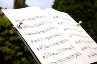 Connex Magneet Neodym Greep D15Mm 2St 4Kg - DY7100023 - thumbnail