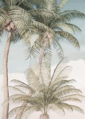 Noordwand Komar Raw Fotobehang Palm Oasis - R2-003