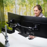 R-Go Tools R-Go Dubbele monitorarm Caparo (gasvering) - thumbnail