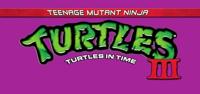 Teenage Mutant Ninja Turtles III: Turtles in Time - thumbnail