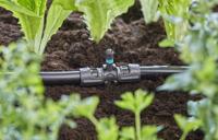 GARDENA micro-drip-system t-stuk voor sproeiers verbinding (donkergrijs) - thumbnail