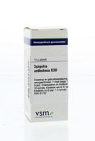 VSM Spigelia anthelmia D30 10 Gram - thumbnail
