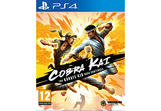 Cobra Kai the Karate Kid Saga Continues