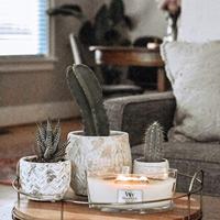 WoodWick ellipse candle white teak - thumbnail