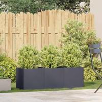 Plantenbak 120x40x40 cm koudgewalst staal antracietkleurig - thumbnail
