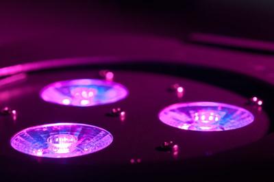 American DJ Ultra HEX Par 3 RGBWA + UV 6-in-1 HEX LED