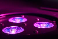 American DJ Ultra HEX Par 3 RGBWA + UV 6-in-1 HEX LED - thumbnail