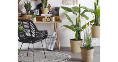 Beliani REED PLANT - Kunstplant-Groen-Synthetisch materiaal Beliani REED PLANT - Kunstplant-Groen-Synthetisch materiaal