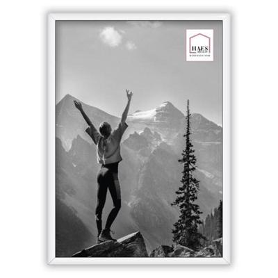 Haes Deco Kunststof Fotolijst EF11W Easy Frame Wit A4 21x29,7 cm