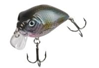 Doiyo Ishi 50 FL Roach Special SBL - thumbnail