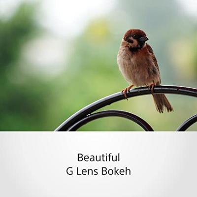 Sony E 70-350mm F/4.5-6.3 G OSS - thumbnail