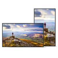 Videowall Monitor Sharp 60006181 4K Ultra HD 43" - thumbnail