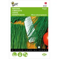 Bieslook Fijne - thumbnail