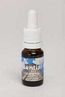 Star Remedies Sneeuwklokje 10 Milliliter - thumbnail